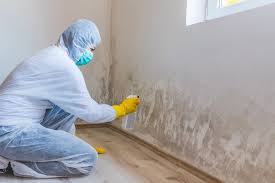 Reliable Wesley Hills, NY Mold Inspection Solutions