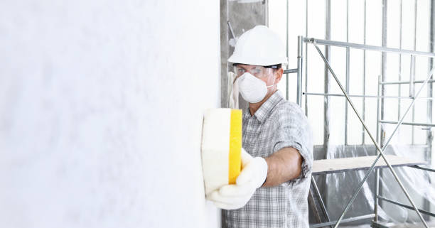 Best Post-Construction Mold Inspection  in Wesley Hills, NY