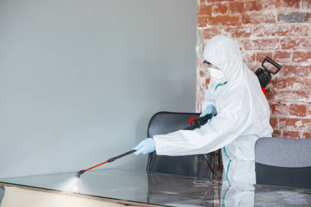 Best Mold Documentation for Insurance Claims  in Wesley Hills, NY