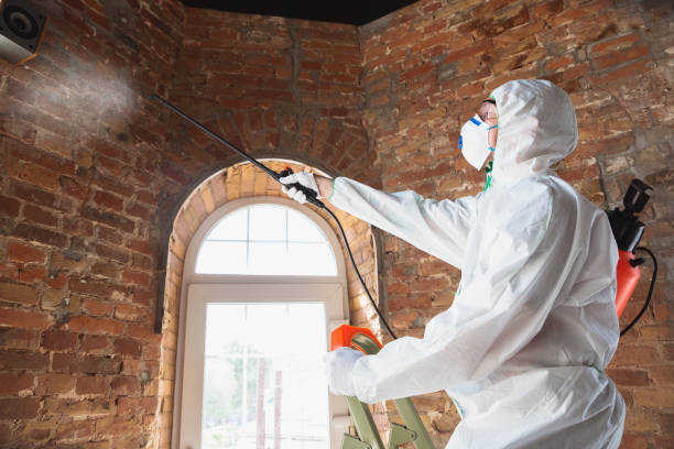 Best Mold Odor Removal Services  in Wesley Hills, NY