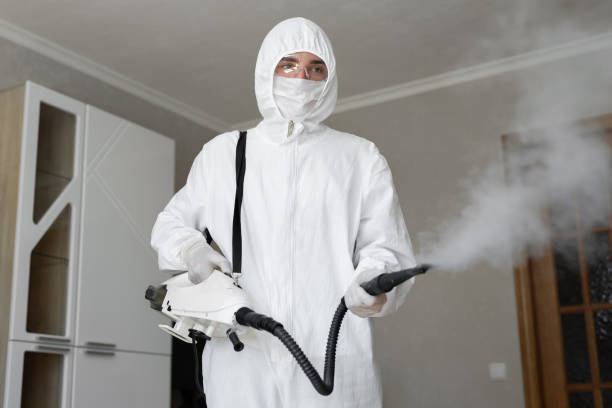 Best Mold Remediation for Healthcare Facilities  in Wesley Hills, NY